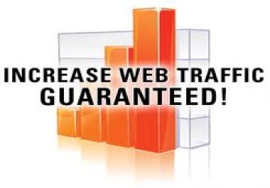 deliver TRAFFIC to your website till 365 days