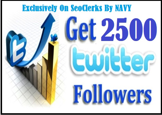 Provide You 2500 Real And Active Twitter Follower Only