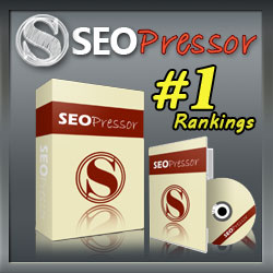 Sell SEOpressor lisences 