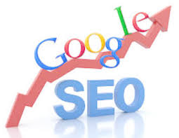 create 800 social bookmark SEO backlinks + ping