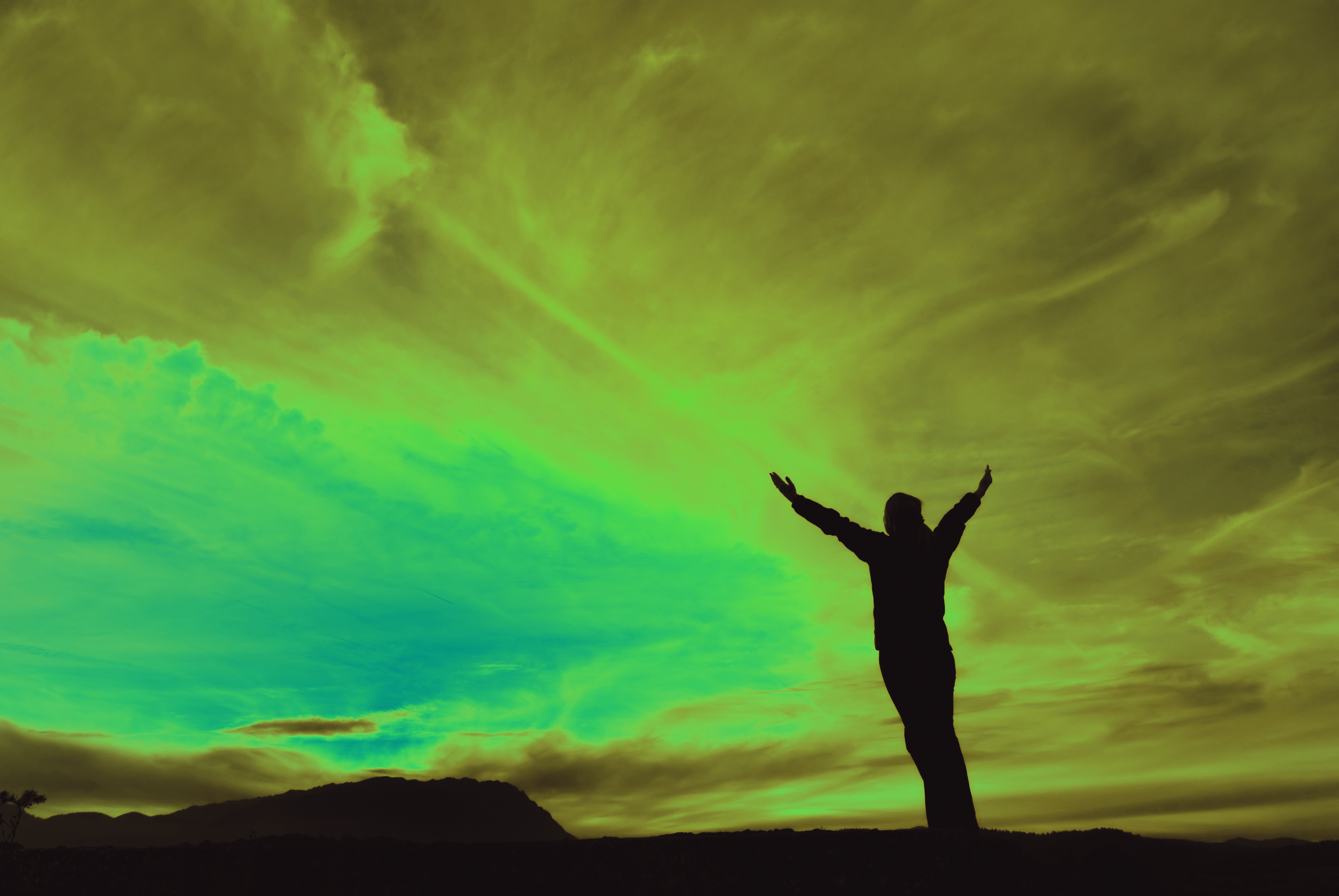 I will guest post your article to my 2,000 follower blog