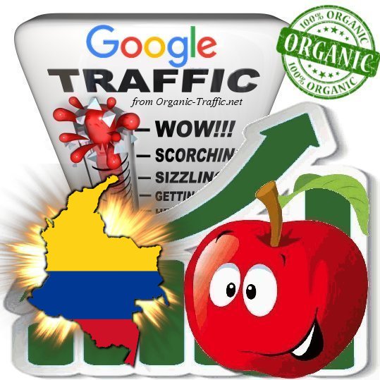 Colombian Search Traffic from Google.com.co with your Keywords
