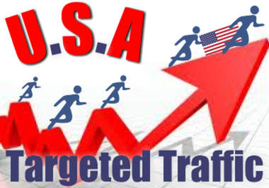 send Unlimited Guaranteed Adsense Safe Traffic From USA for One Month