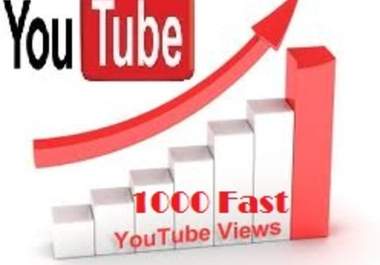 deliver 1,000 YouTube Views within 1 day 