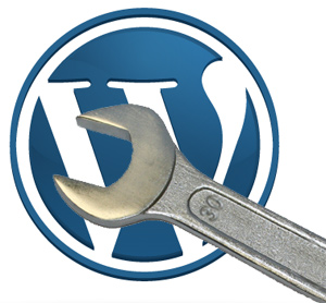 setup and fully customize your 1 wordpress blog as your instruction