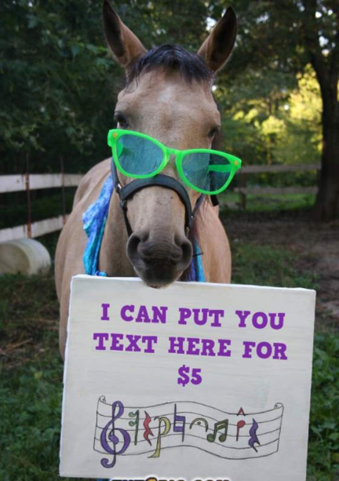 will design your Text Message in a Unique Fan Signs Style for