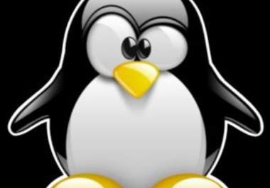 give guide you how to kill penguin and panda