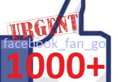 give you quality 1000+ USA facebook fans likes to your fb fan page, average express delivery