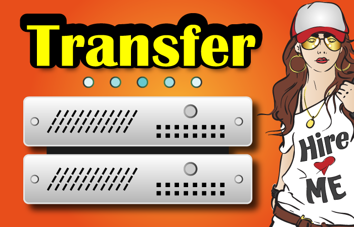 Transfer, Migration of WordPress website to new host