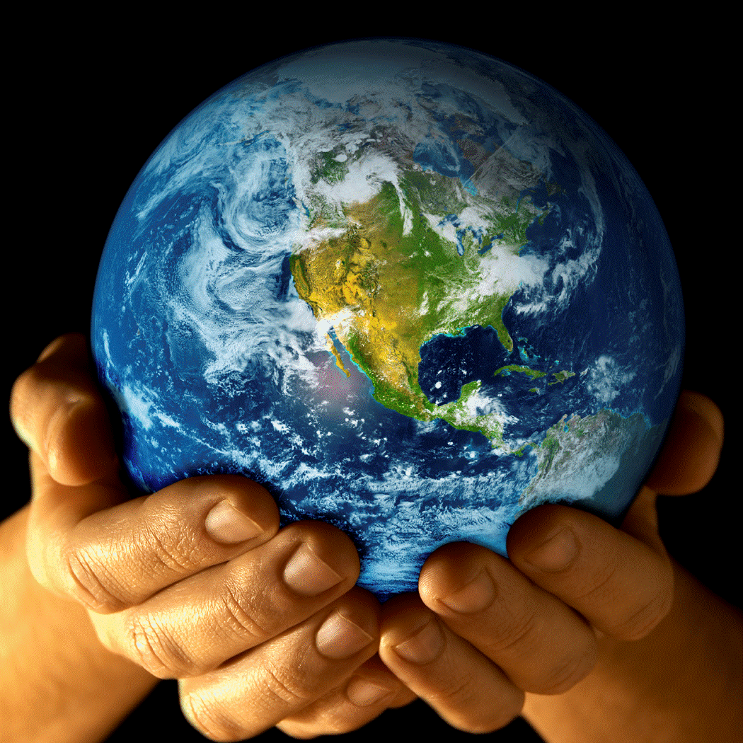 translate 1000 words of any language to your preferred language