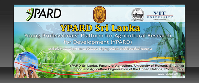 design HiGH qulity banner,header,logos,cover,web banner