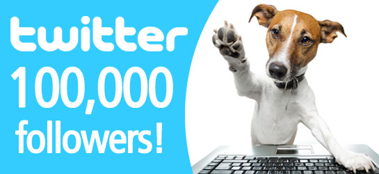 add 100,000+ Twitter FOLLOWERS having Full Bio and Pic Without needing your Password