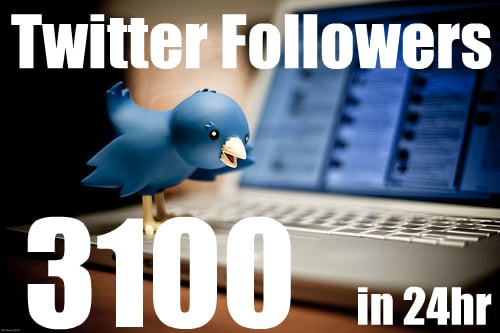 Get You 3100+ Real Looking TWITTER Followers in Less Then 24hr NO Need for Pass
