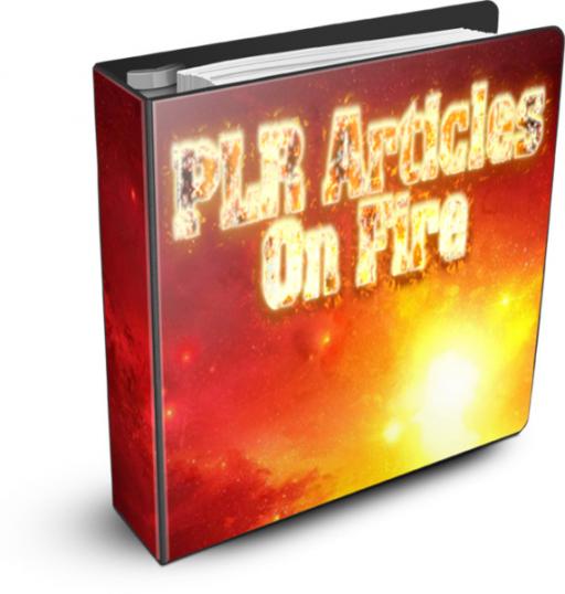 Give You 20,000 PLR Articles On Several Niche
