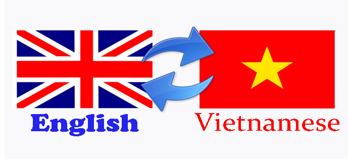 I will translate English to Vietnamese and vice verse for ...