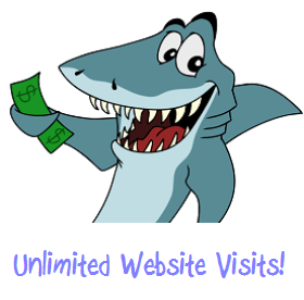 Targeted Unlimited Website Traffic Visits