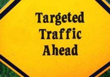 deliver laser targeted TRAFFIC to your websites by making a software and then submit it to 300 very high pagerank directories boosting your rank