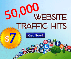Send you 100,000  Traffic Hits from Social Media & Top Web 2.0 sites