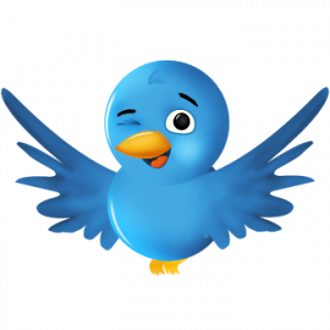 I will create 10 times better links than SeNuke X ranging from PR5, PR6, PR7, PR8 and finally give you a detailed report better than SeNuke X gigs 