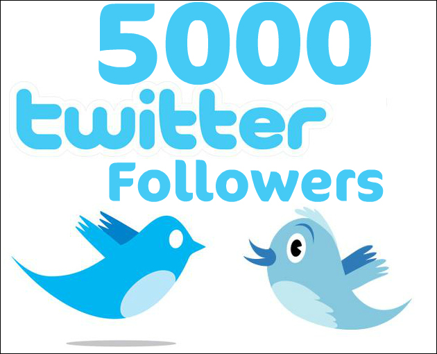 Increase 5000 Real Looking Follower on Your Twitter Profile within 24hrs