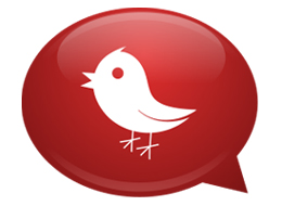 Give you Guaranteed 20,000 Follower on Your Twitter Account