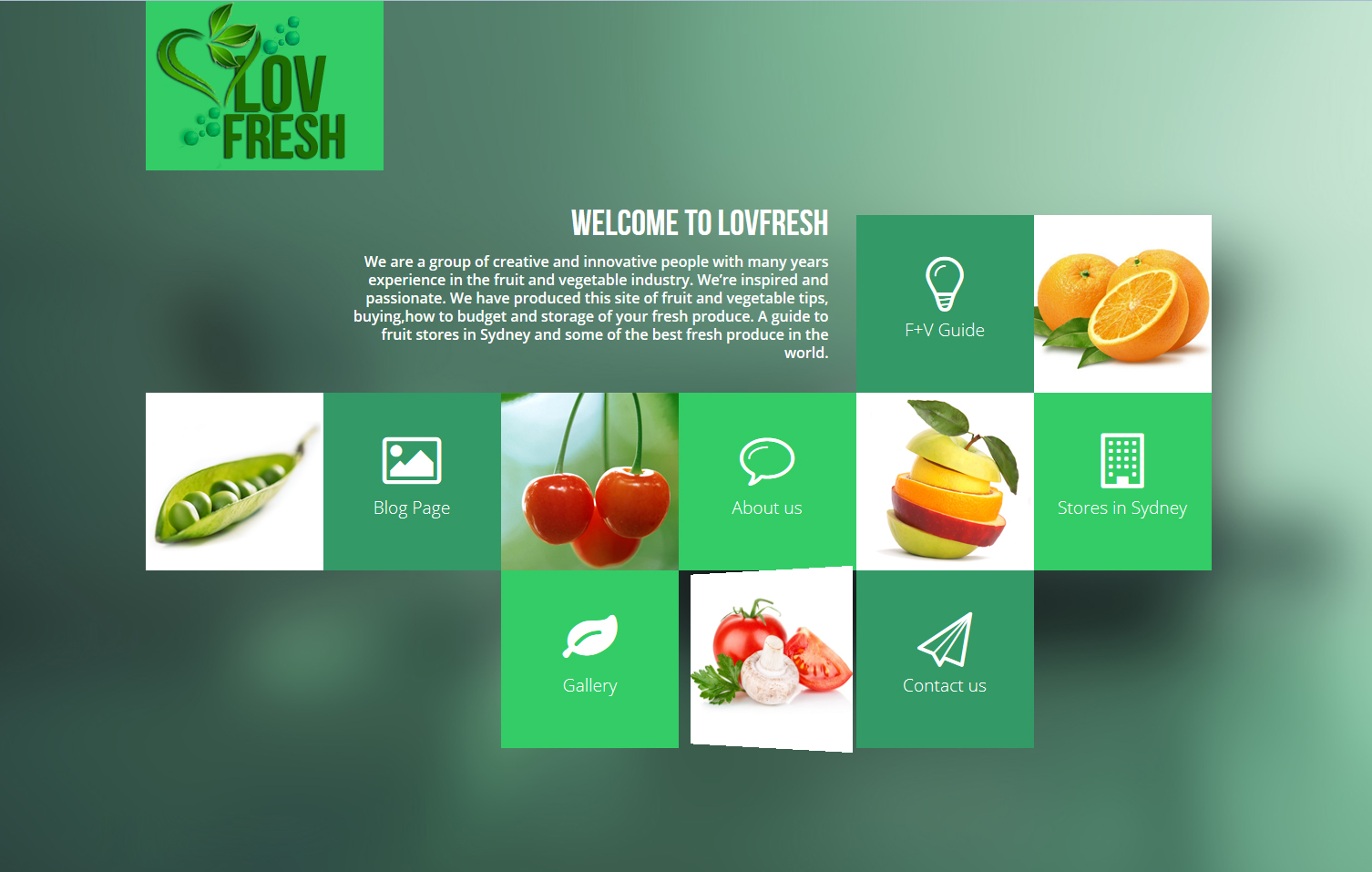 I'll give you Shopify, WordPress, eCommerce Premium Template