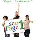 build a high quality link pyramid to beat Panda and get you to Page 1 on Google 
