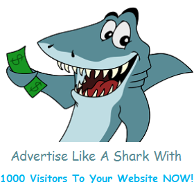 1000 Website Visitors Traffic Service