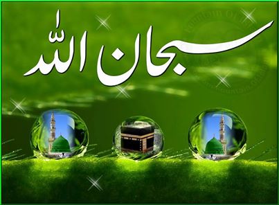 I can offer English To Urdu translation for just $10