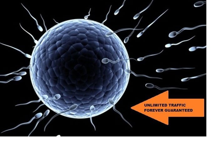 drive 1 000 000 1M Worldwide Original targeted TRAFFIC To Your Website Get sales 