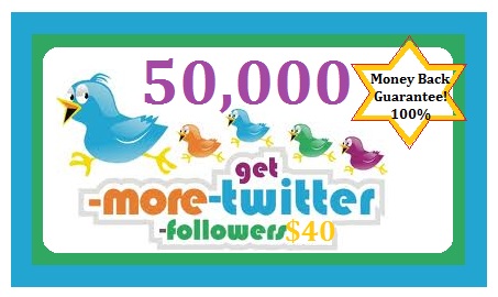 send you ACTIVE 500 twitter followers