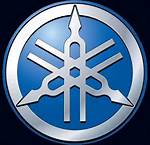 I will give logo desining for your company / website $10