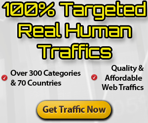 Deliver 10,000+ Real Human Country & Niche Targeted Visitors to your Website