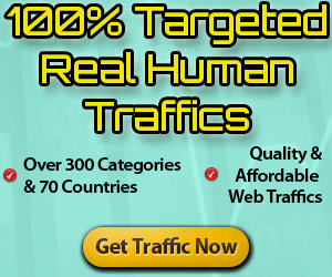 Deliver 10,000+ Real Human Country & Niche Targeted Adult Visitors to your Website