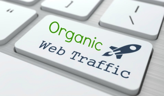  Get Unlimited Google Search Traffic
