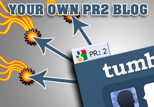 give You real PageRank 2 Tumblr Blog to build Real PR2 BackLinks, increase your SEO Ranking with PR2 and PR3 Links 