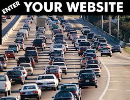 deliver you real human TRAFFIC to your website for 365 days just