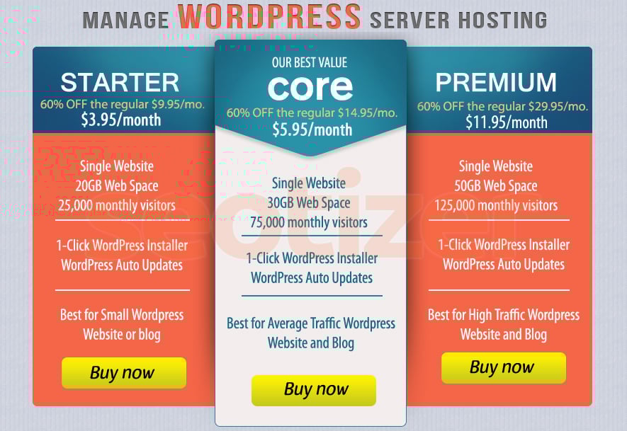 WordPress Server Hosting of 1 Year for Blog or Website