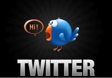 Increase 10,000 Twitter Followers to Your Account Just Within 12hr Without Password