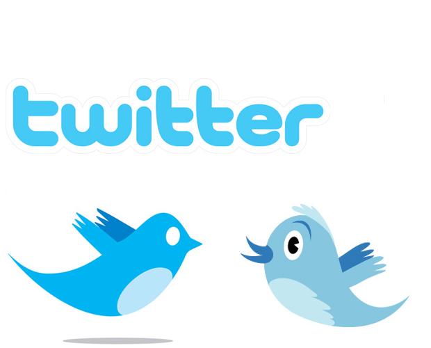 Create You 1000 Real Looking Twitter Accounts ID Password With Profiles Pic And Bio for Twitter BOT