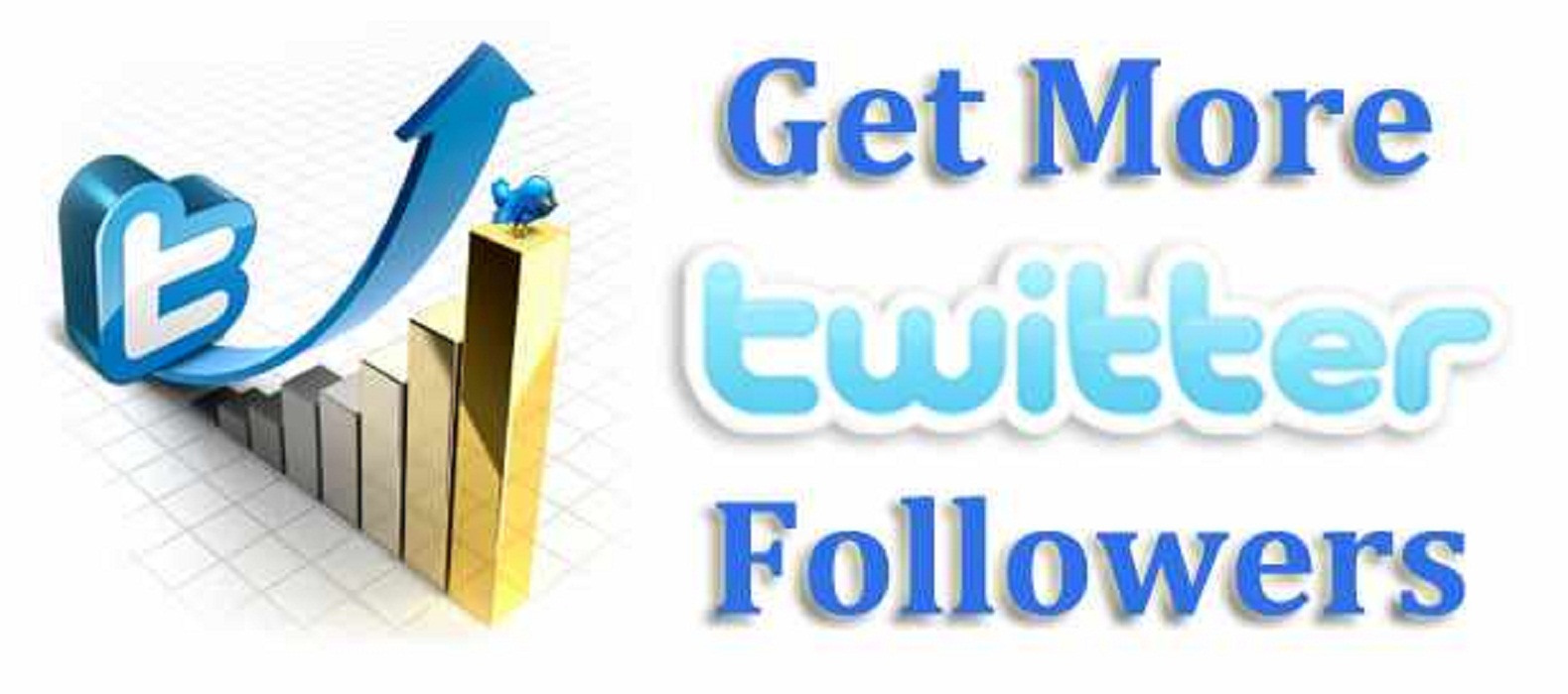 50k Permanent Twitter Followers