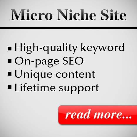 create a high-quality micro niche site
