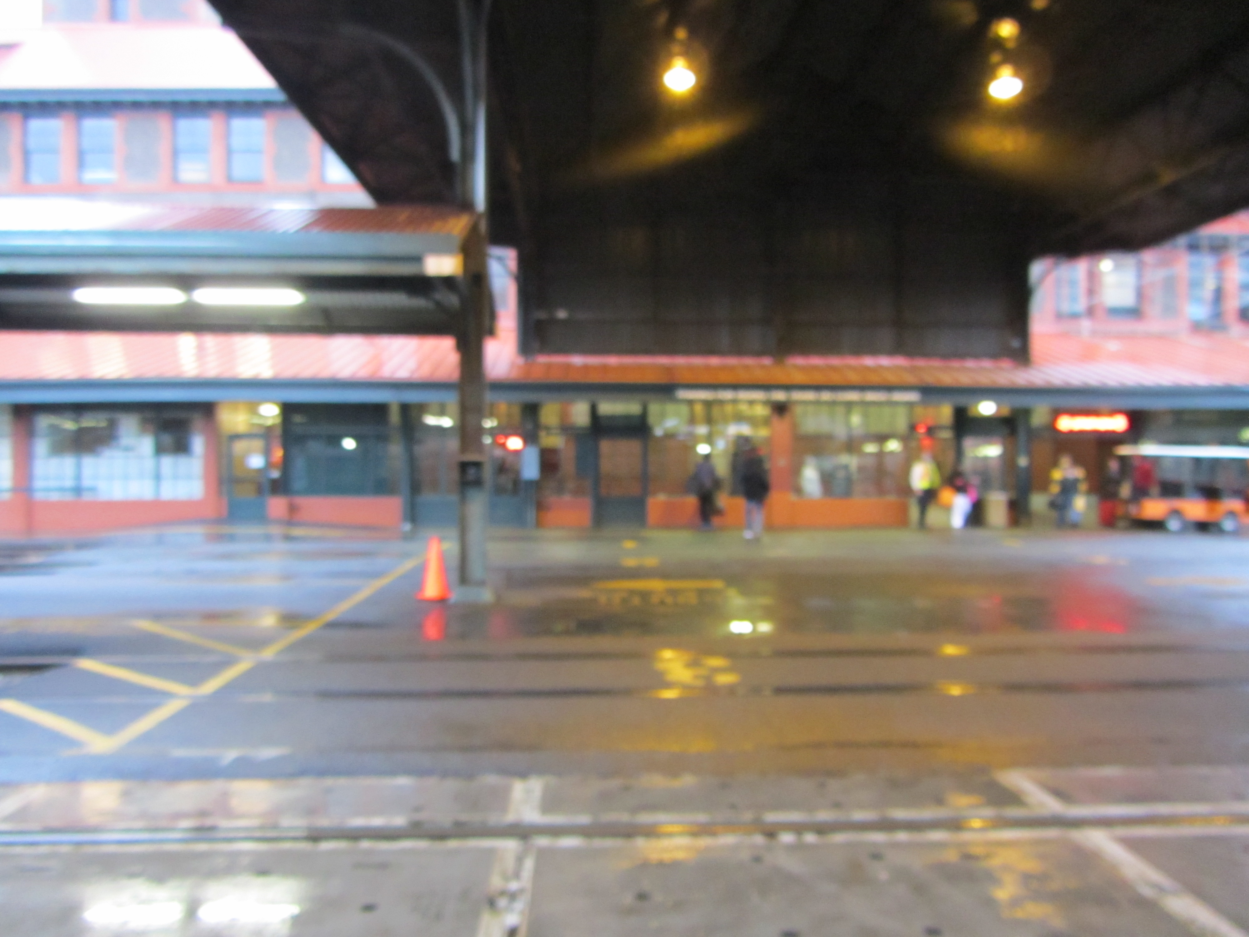 article and content writer