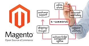 I will Install/setup Magento theme