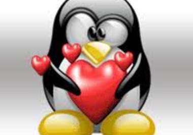 build a safe panda and PENGUIN 3 tiers link pyramid with 50 high quality links and 10070 profile links 
