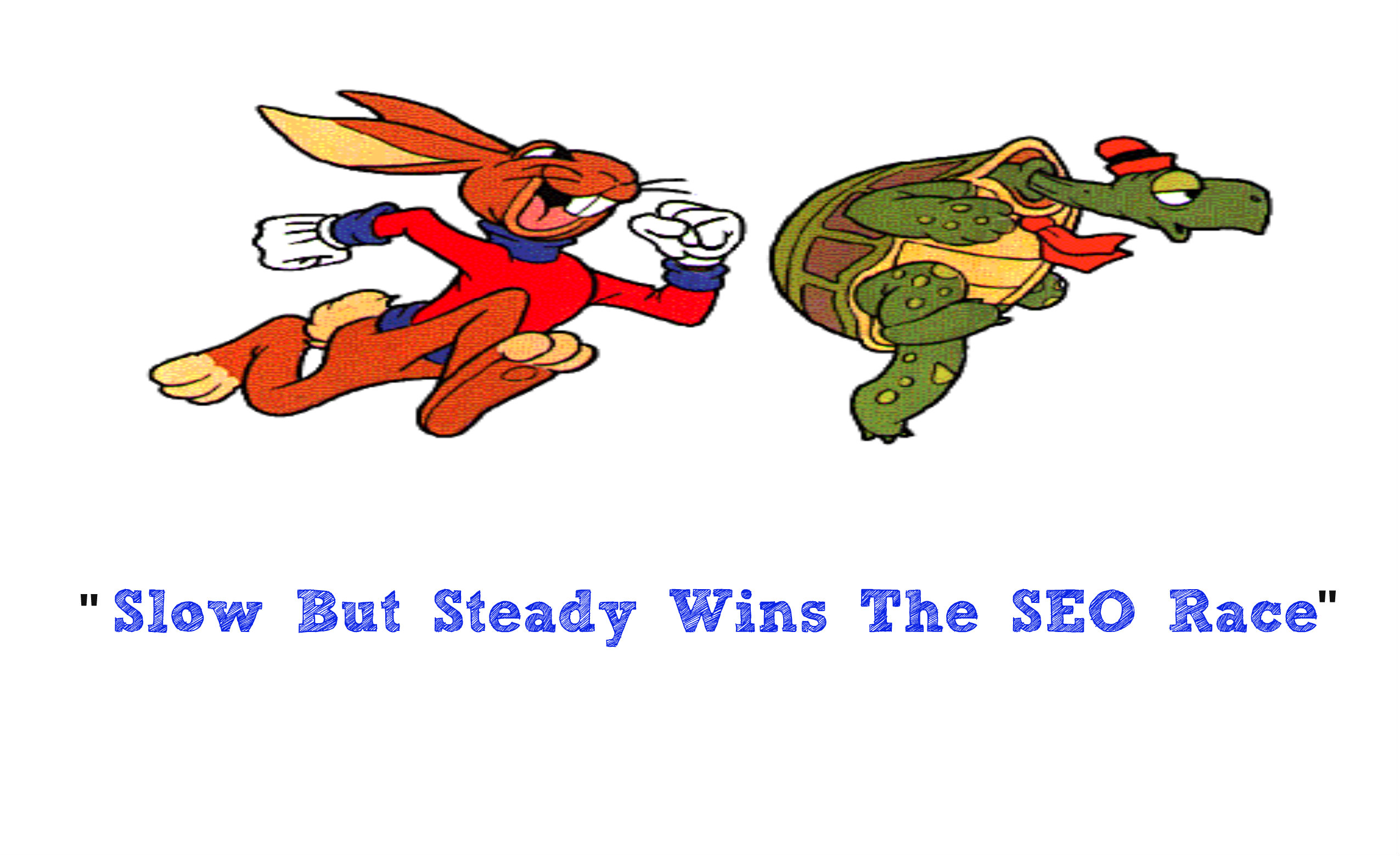 Slow and regular link buidling service to boost your website's ranking