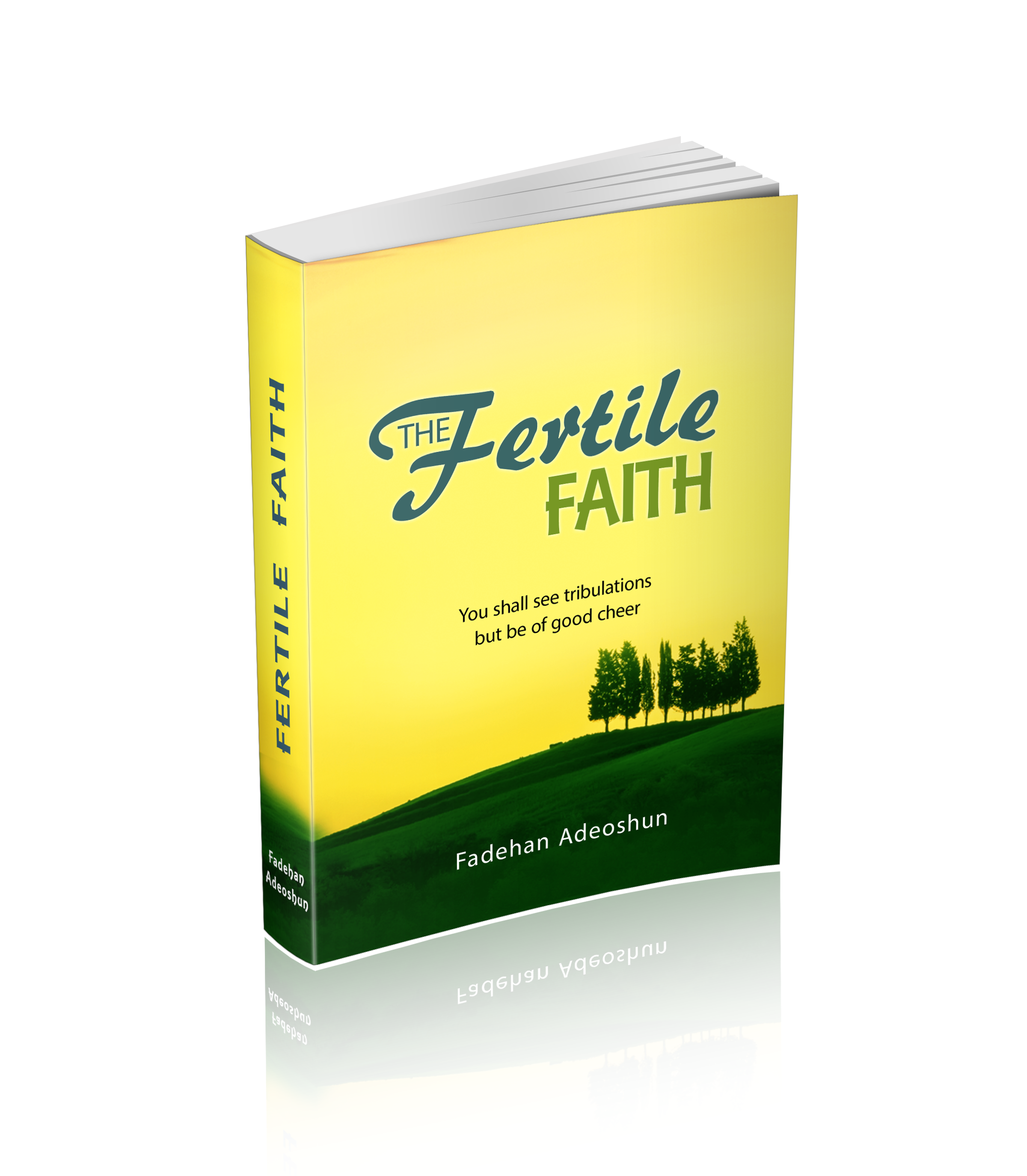 I will create a professional 3d EBOOK cover for