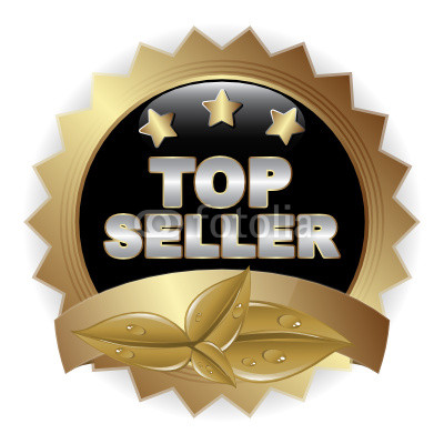 make high quality and professional logo design