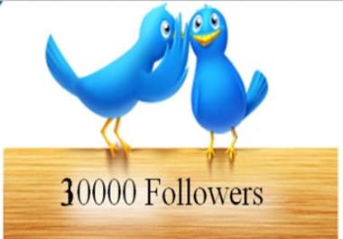 give you 30000+ Twitter Followers without your admin access within 12 hours 