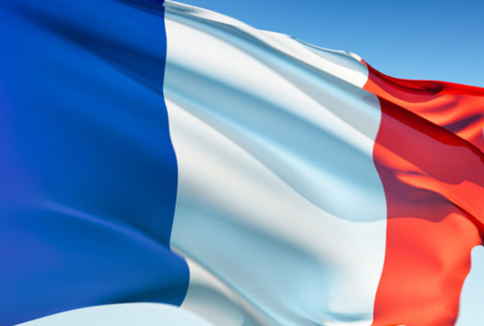 I will translate 100 words french into English or English to french 